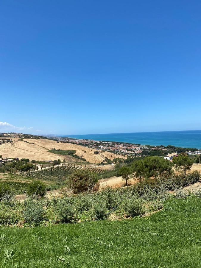 Casale Adriatico B&B Pineto Luaran gambar